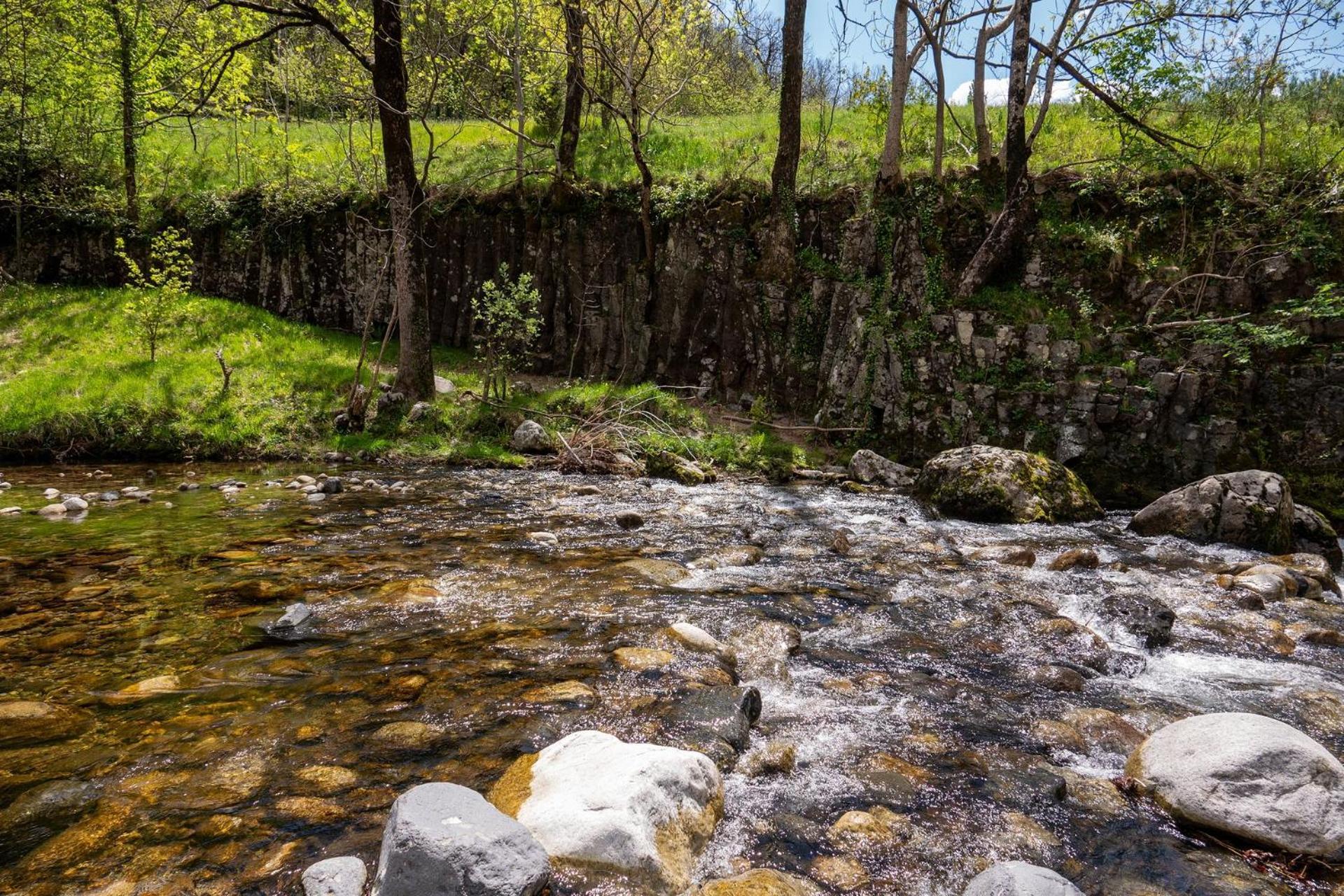 Rives De Bourges Lägenhet Burzet Exteriör bild